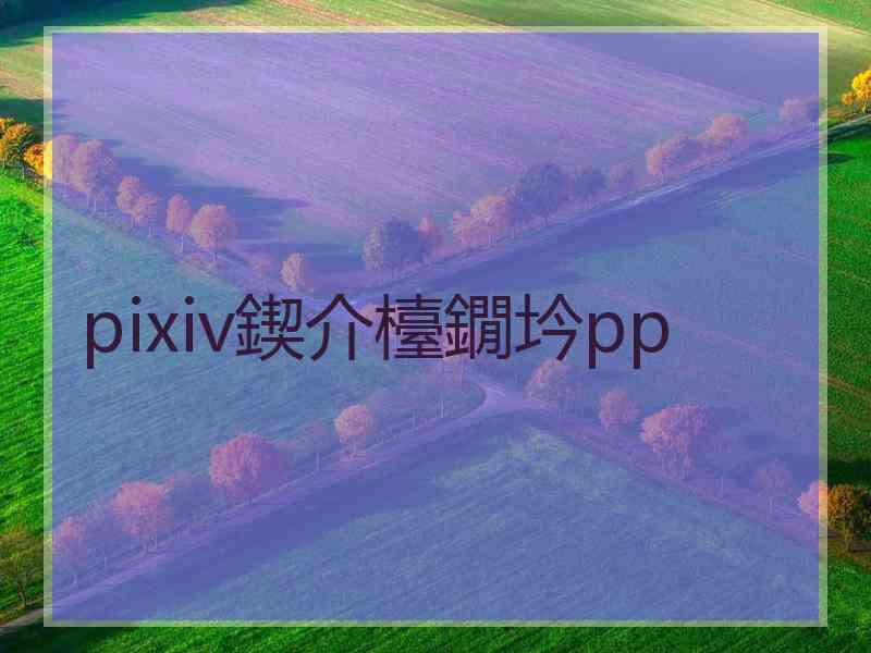 pixiv鍥介檯鐗坅pp