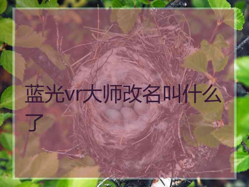 蓝光vr大师改名叫什么了