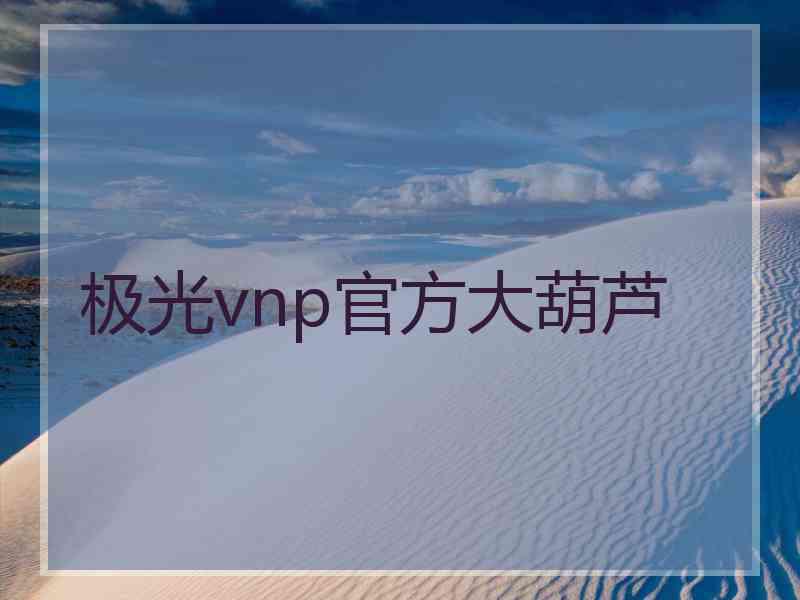 极光vnp官方大葫芦