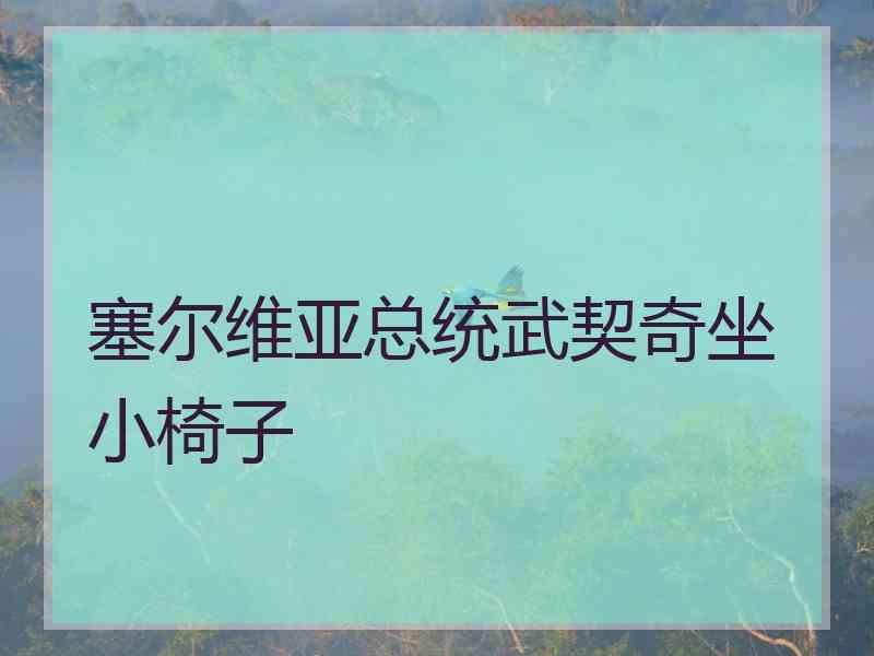 塞尔维亚总统武契奇坐小椅子