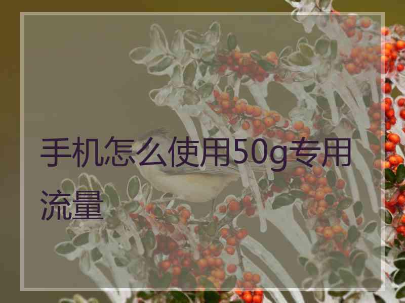 手机怎么使用50g专用流量