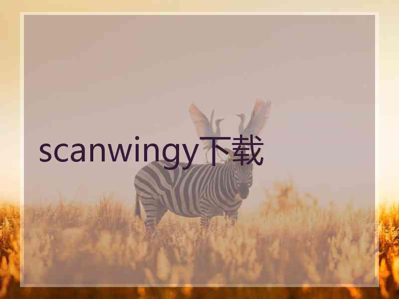 scanwingy下载