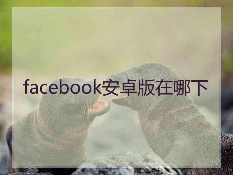 facebook安卓版在哪下