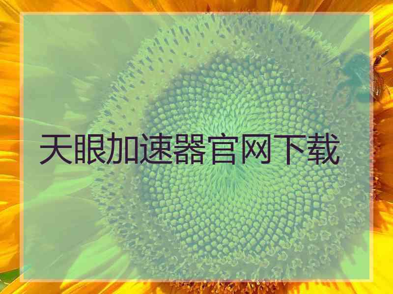 天眼加速器官网下载