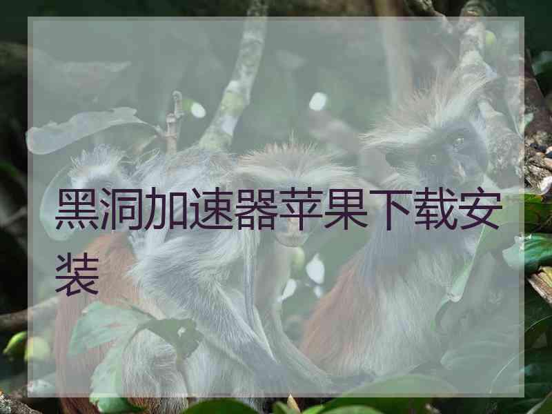 黑洞加速器苹果下载安装