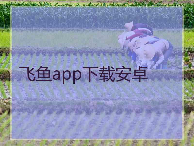 飞鱼app下载安卓