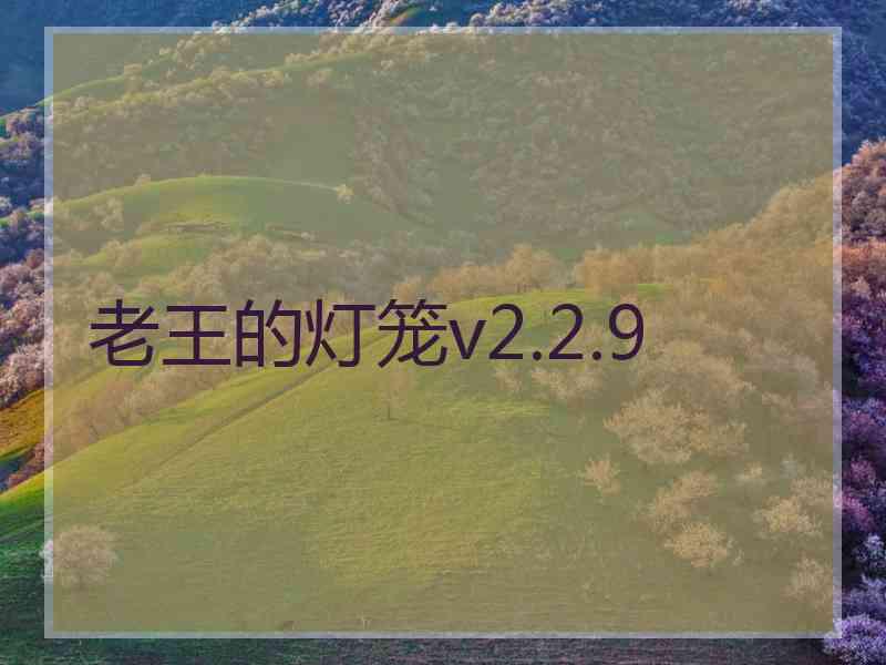 老王的灯笼v2.2.9