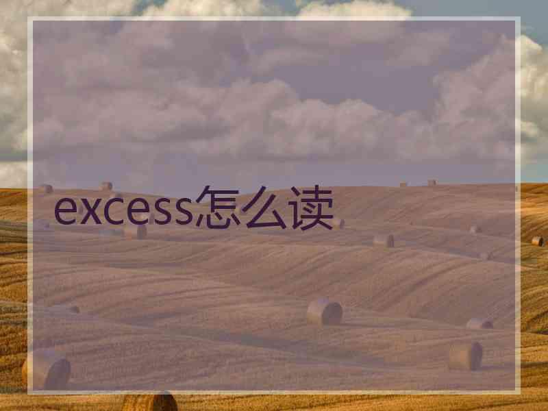 excess怎么读