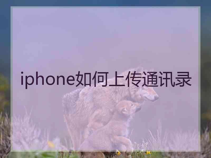 iphone如何上传通讯录