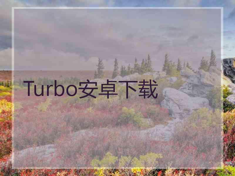 Turbo安卓下载