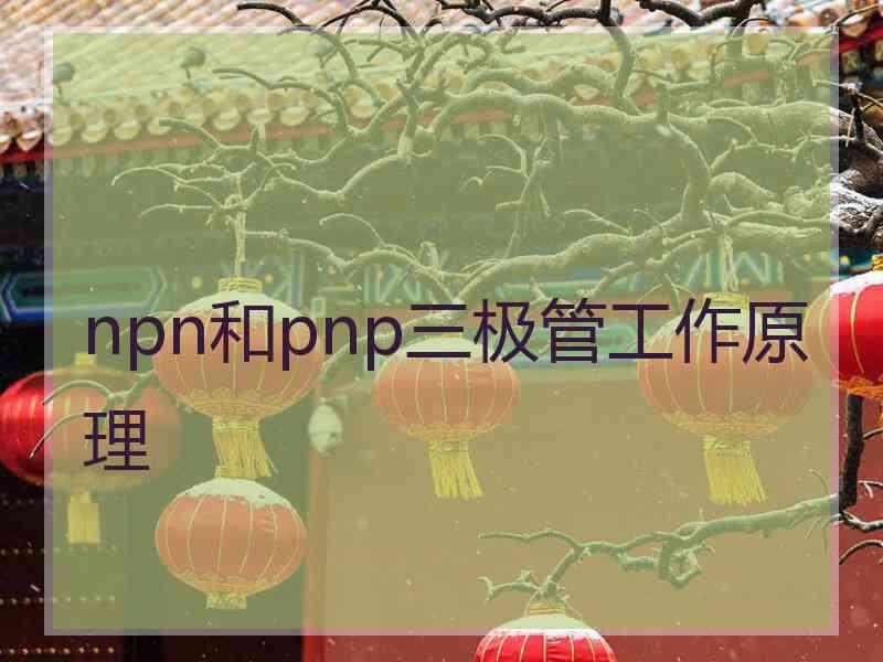 npn和pnp三极管工作原理