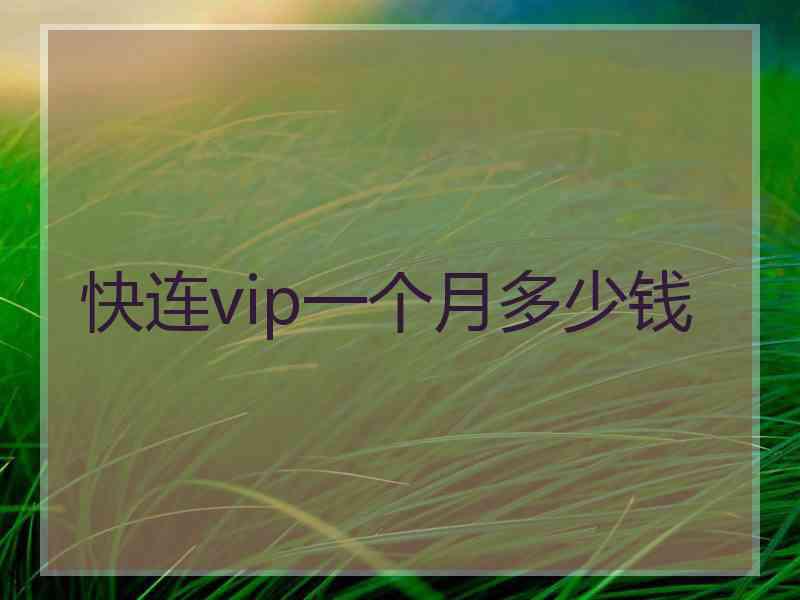 快连vip一个月多少钱