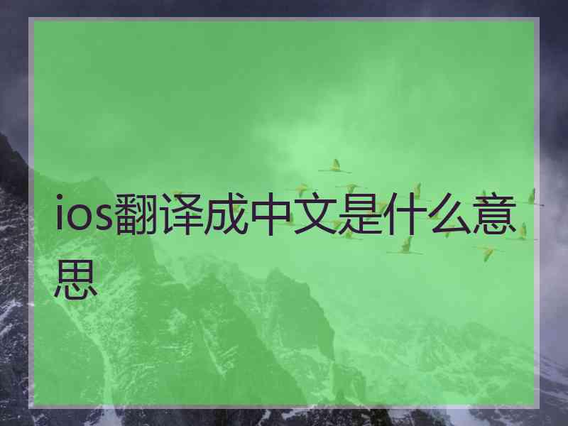 ios翻译成中文是什么意思