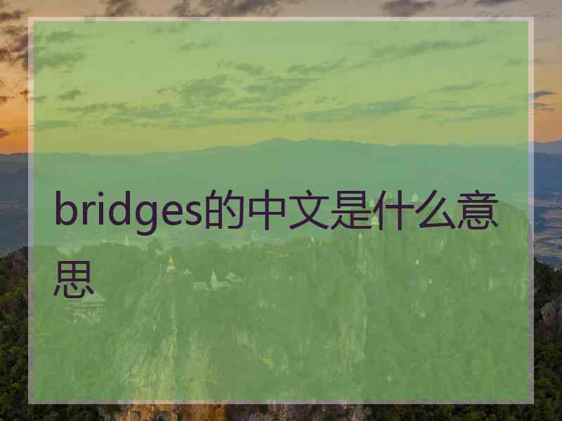 bridges的中文是什么意思