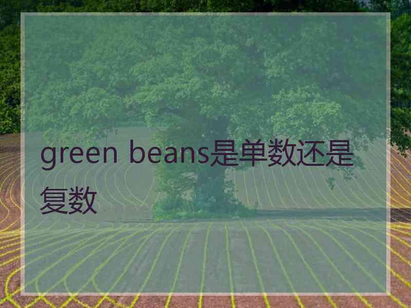 green beans是单数还是复数