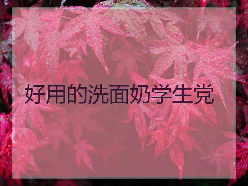 好用的洗面奶学生党