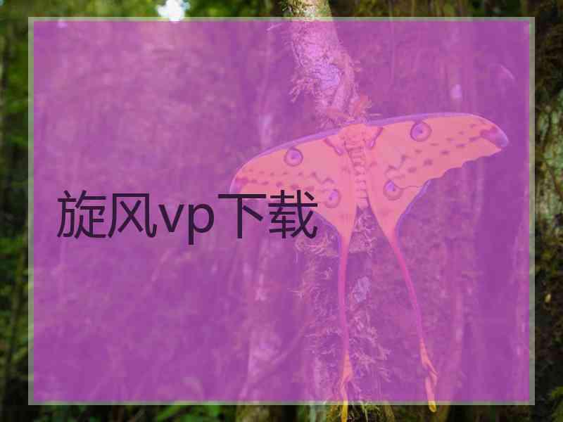 旋风vp下载