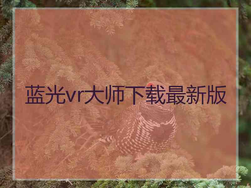 蓝光vr大师下载最新版