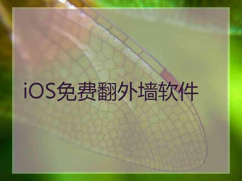 iOS免费翻外墙软件