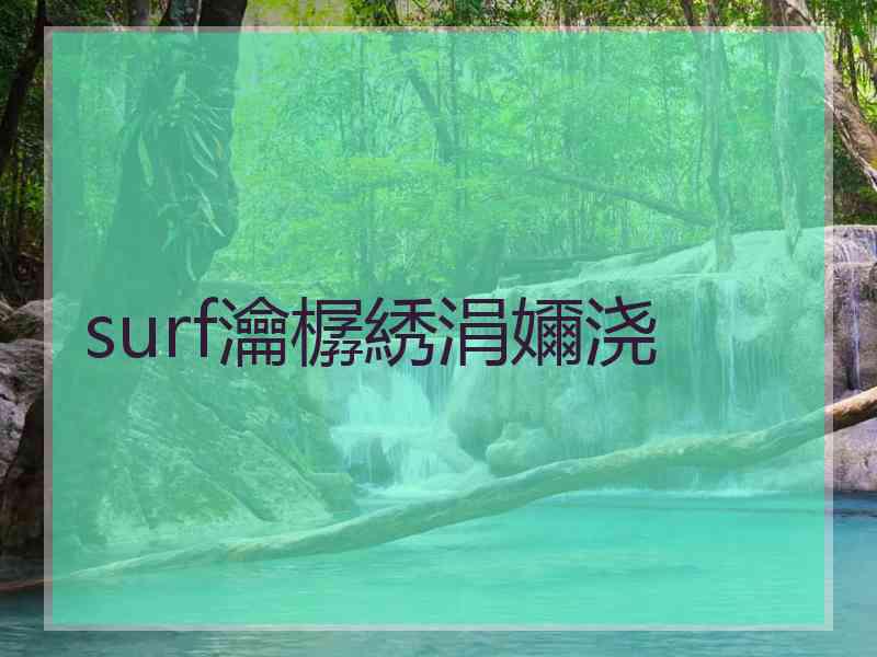 surf瀹樼綉涓嬭浇