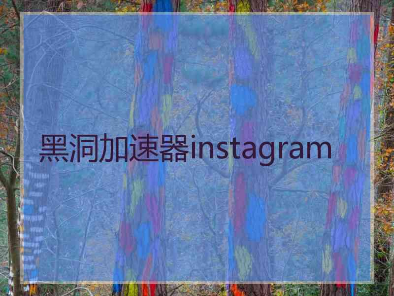 黑洞加速器instagram