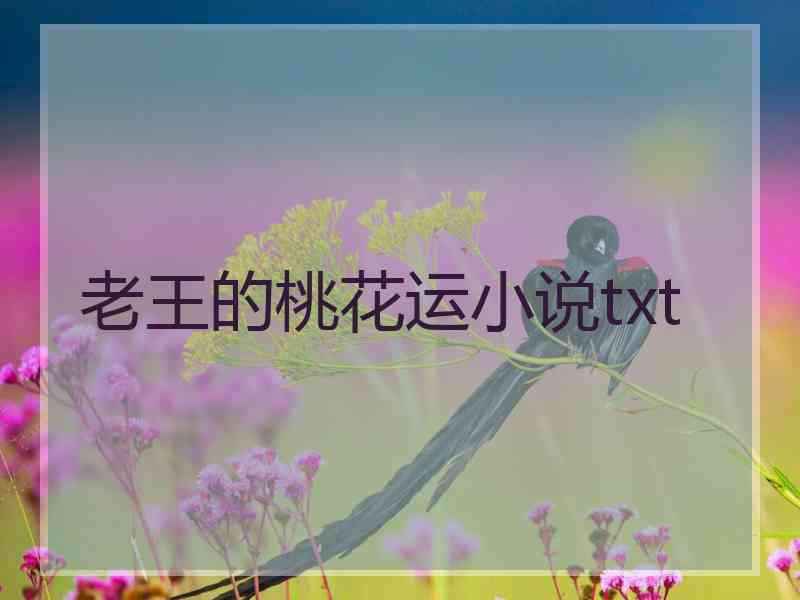 老王的桃花运小说txt