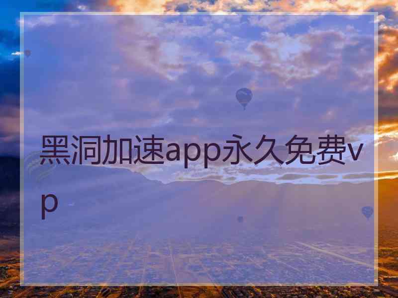 黑洞加速app永久免费vp