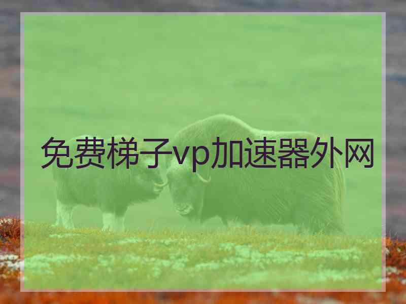 免费梯子vp加速器外网