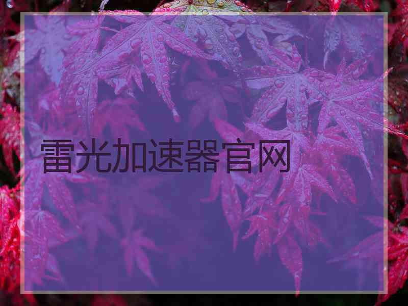 雷光加速器官网