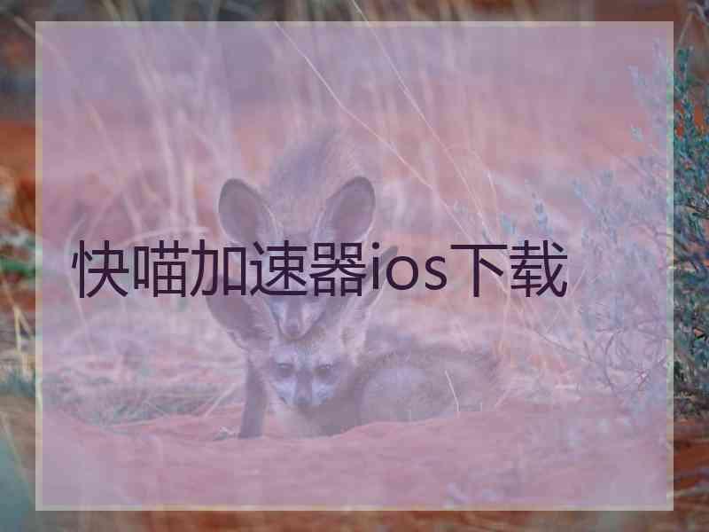 快喵加速器ios下载