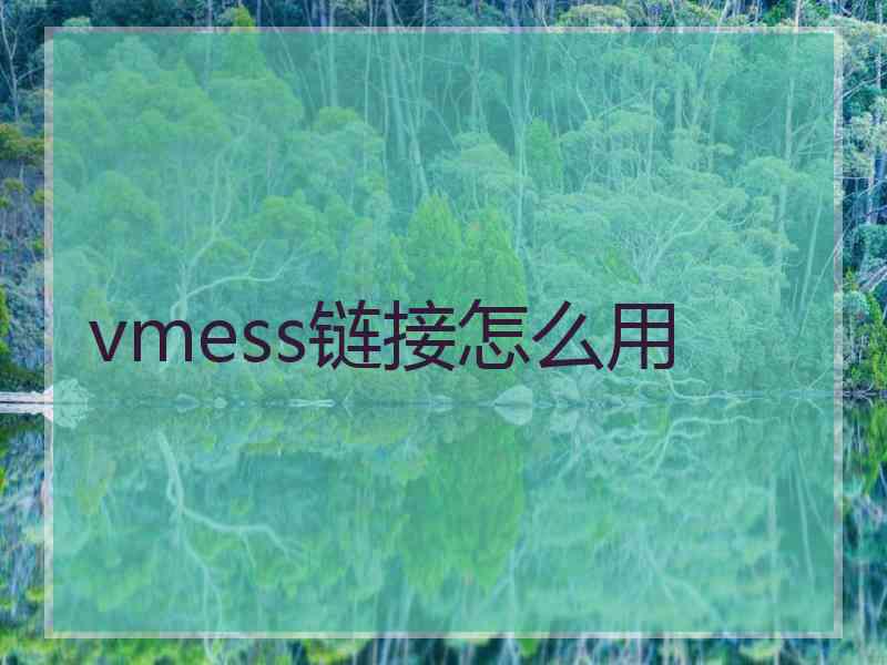 vmess链接怎么用