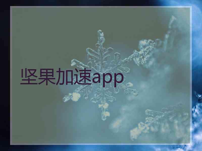 坚果加速app