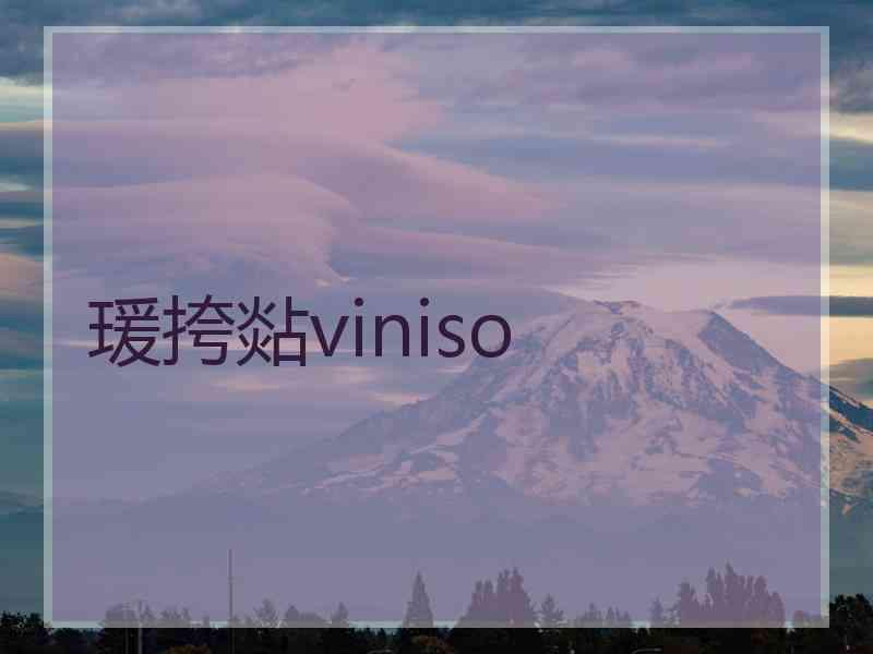 瑗挎煔viniso