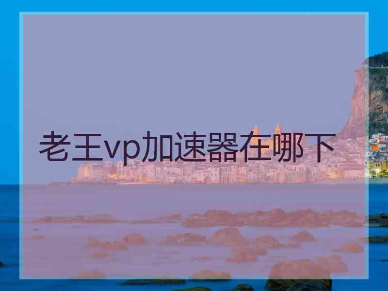 老王vp加速器在哪下