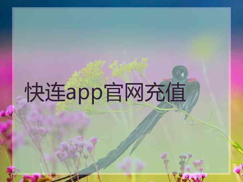 快连app官网充值