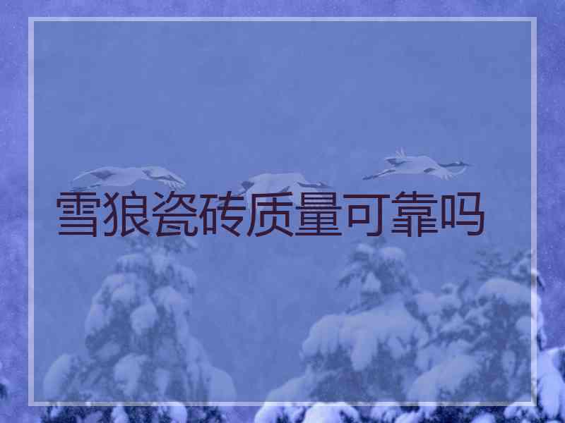 雪狼瓷砖质量可靠吗