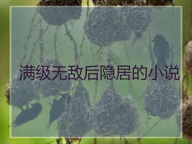 满级无敌后隐居的小说