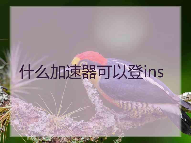 什么加速器可以登ins