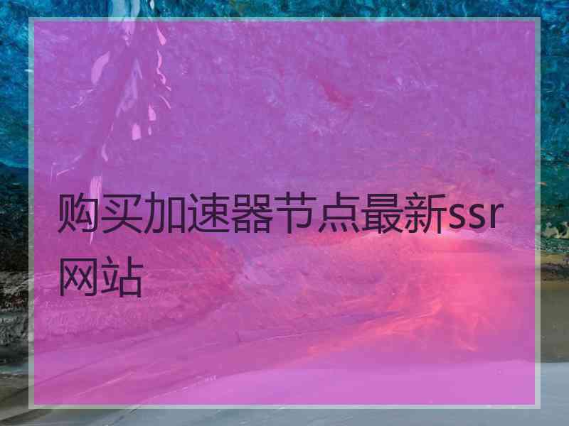 购买加速器节点最新ssr网站