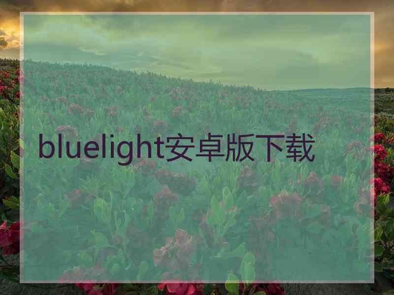 bluelight安卓版下载