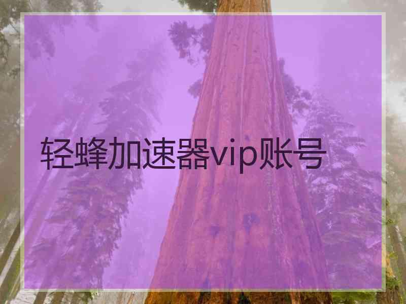 轻蜂加速器vip账号