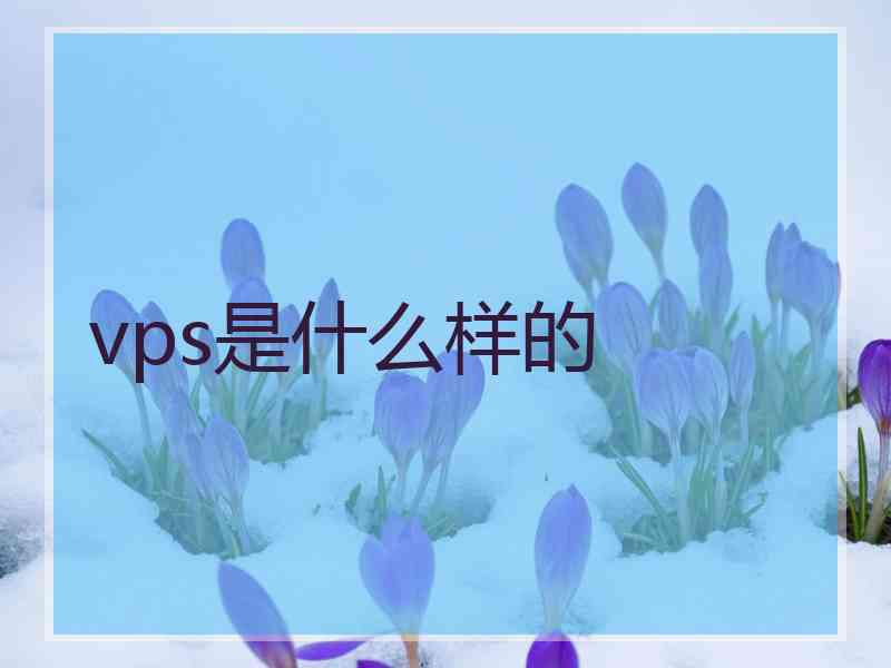 vps是什么样的