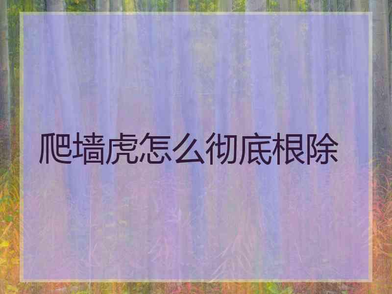 爬墙虎怎么彻底根除