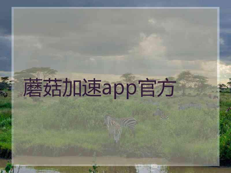 蘑菇加速app官方