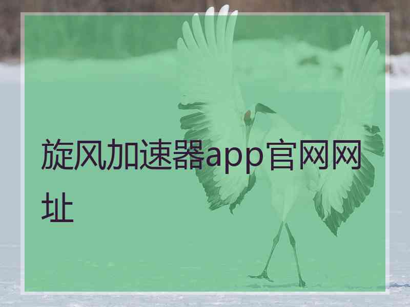 旋风加速器app官网网址