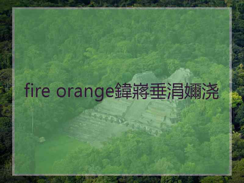 fire orange鍏嶈垂涓嬭浇