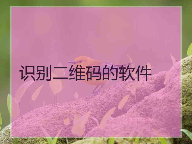 识别二维码的软件