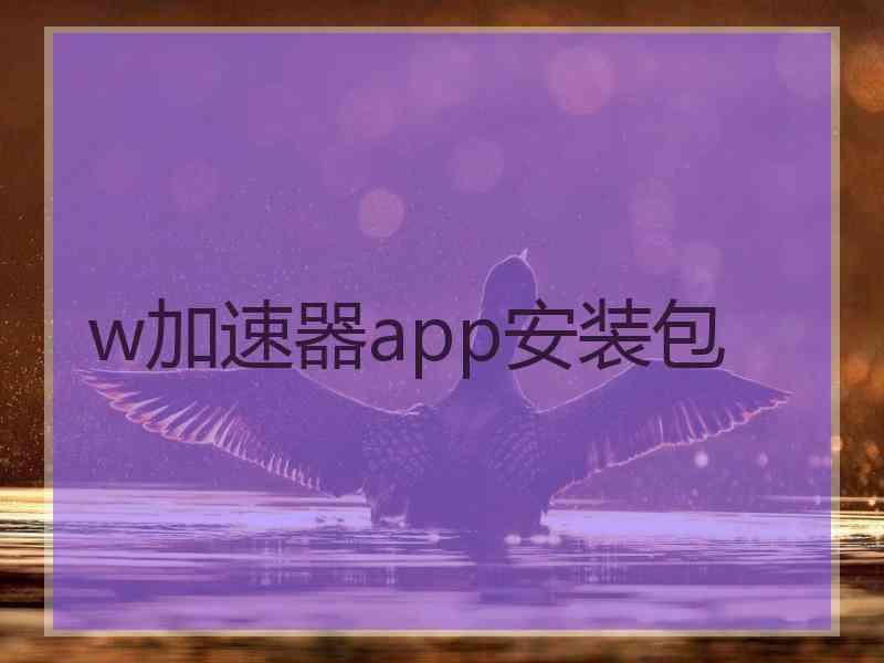 w加速器app安装包