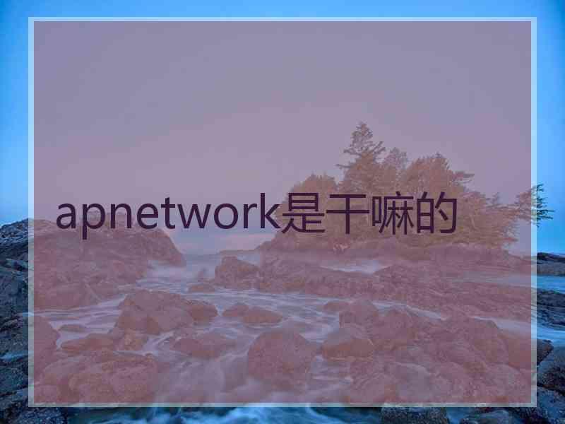 apnetwork是干嘛的