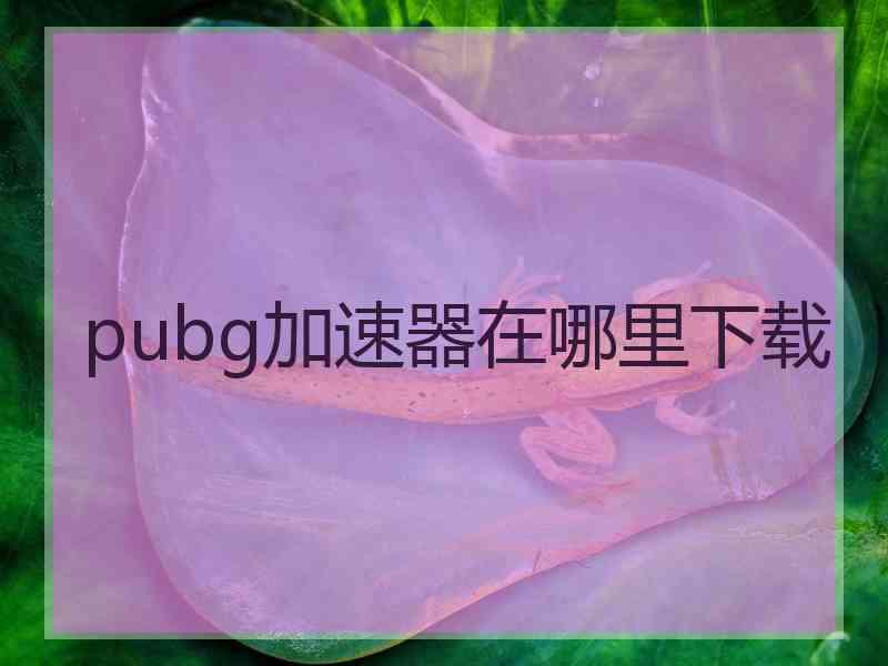 pubg加速器在哪里下载